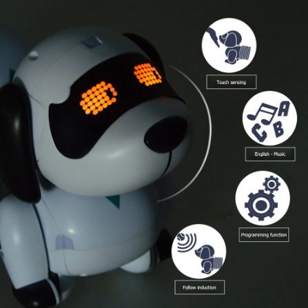 Intelligent Robot Dog